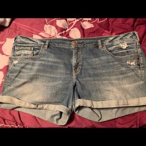 Silver Jean Shorts - Plus Size 24